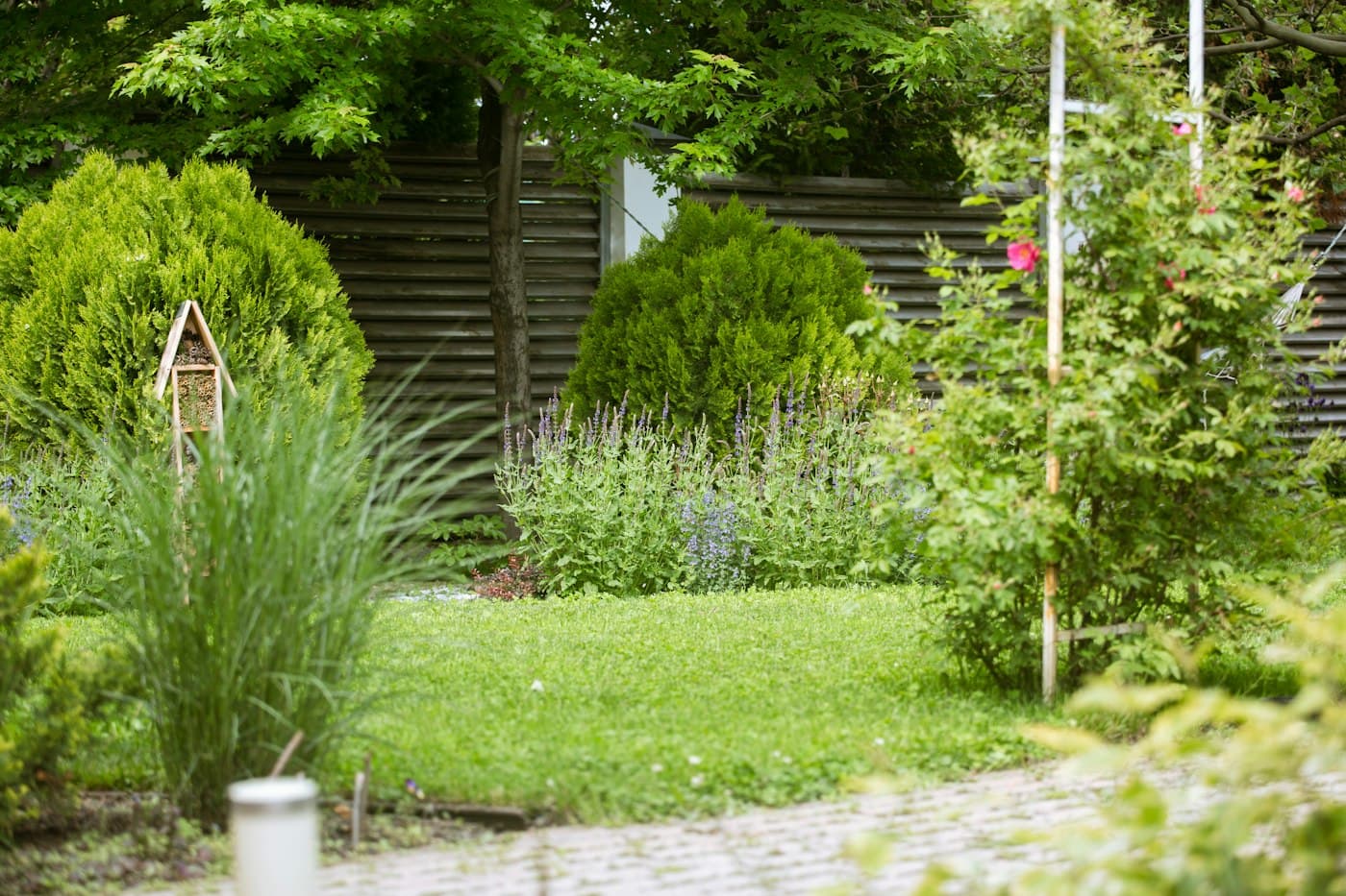 BEISPIEL-FOTO: angelegter Garten mit Weg, Gräsern und Sträuchern